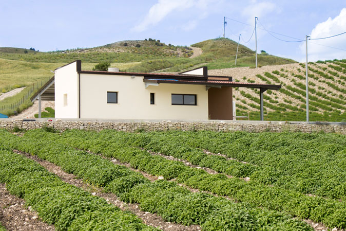 aromi naturali siciliani